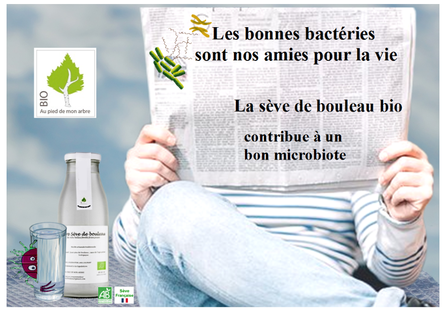 Le rôle du microbiote intestinal