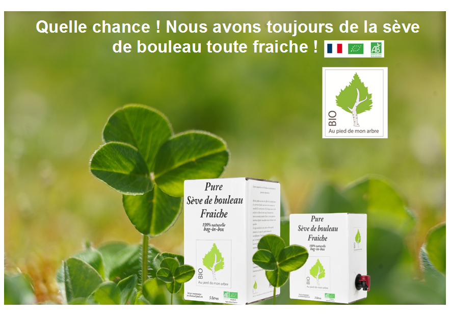 Nous pouvons toujours vous livrer de la sève de bouleau toute fraiche en mai