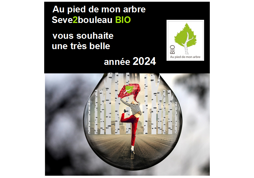quelles sont les bonnes résolutions pour 2024 que l’on va réussir à tenir toute l’année ?