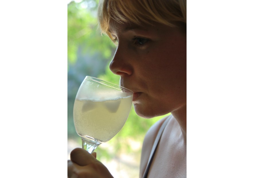 Boire la sève de bouleau : un rituel de bien-être inspiré de la nature