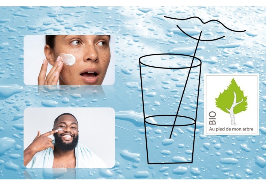 Boire de la sève de bouleau : un geste beauté de l’intérieur