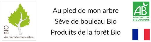 Seve 2 Bouleau